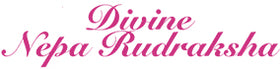 Divine Nepa Rudraksha