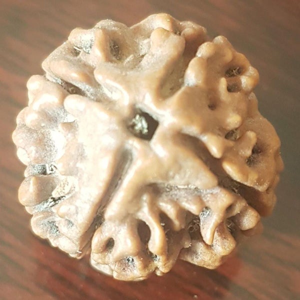 4 Mukhi