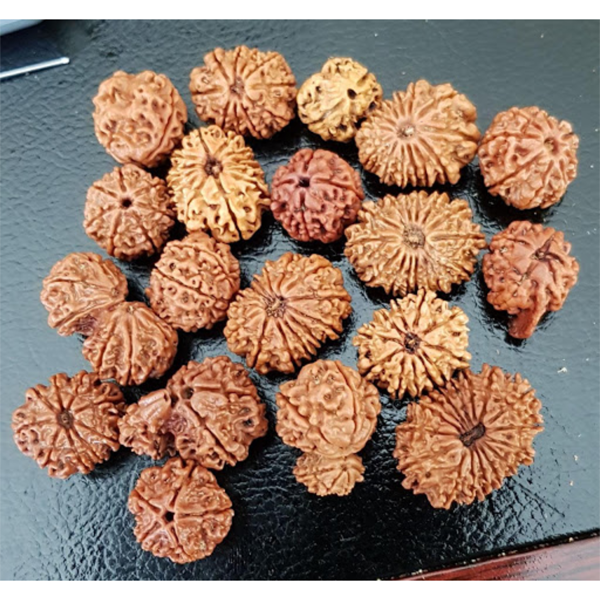 Siddha Mala