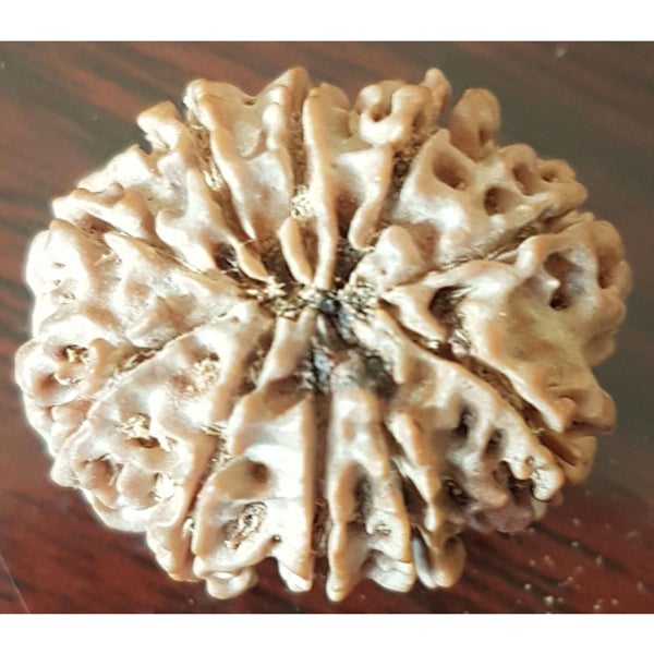 10 Mukhi