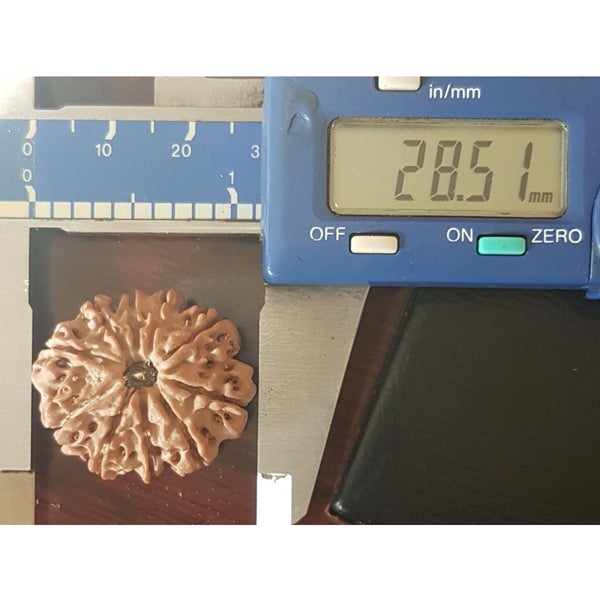 10 Mukhi