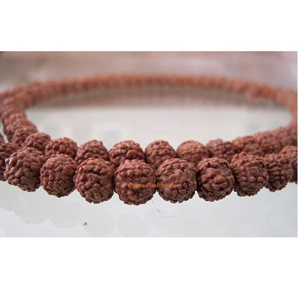 5 Mukhi Chikna Mala