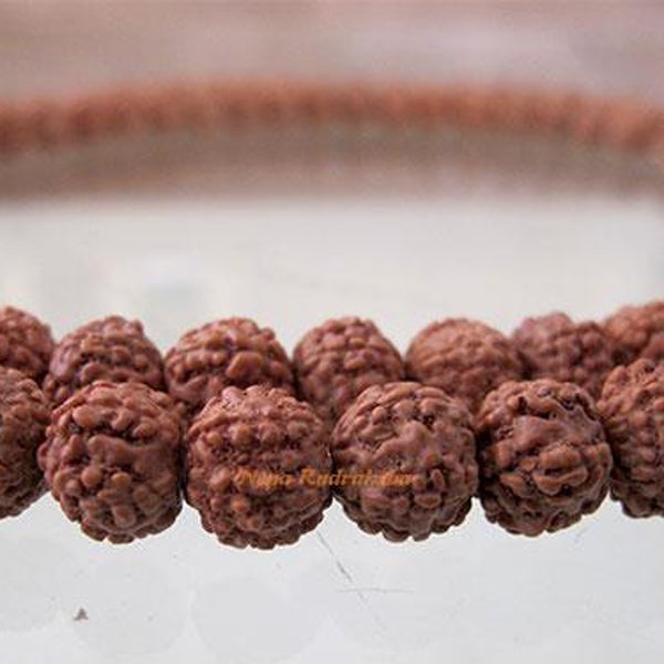 5 Mukhi Chikna Mala