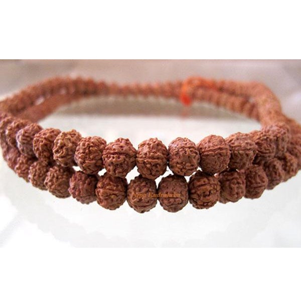 6 Mukhi Chikna Mala