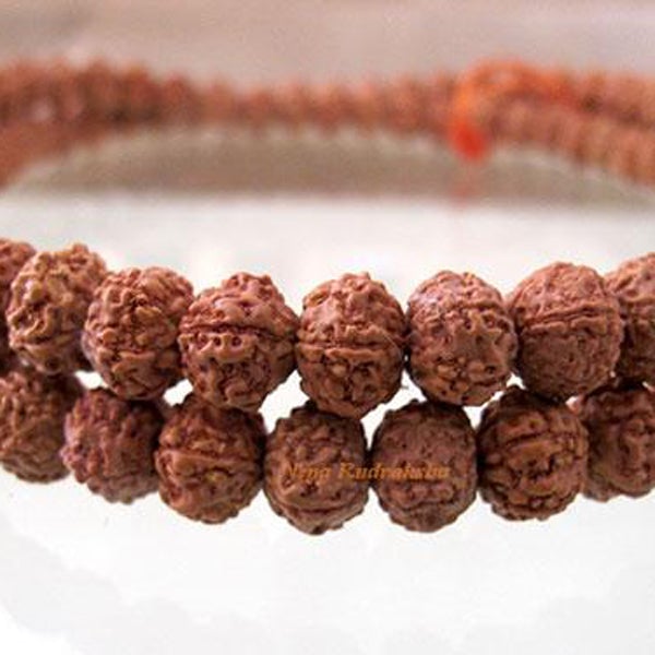 6 Mukhi Chikna Mala