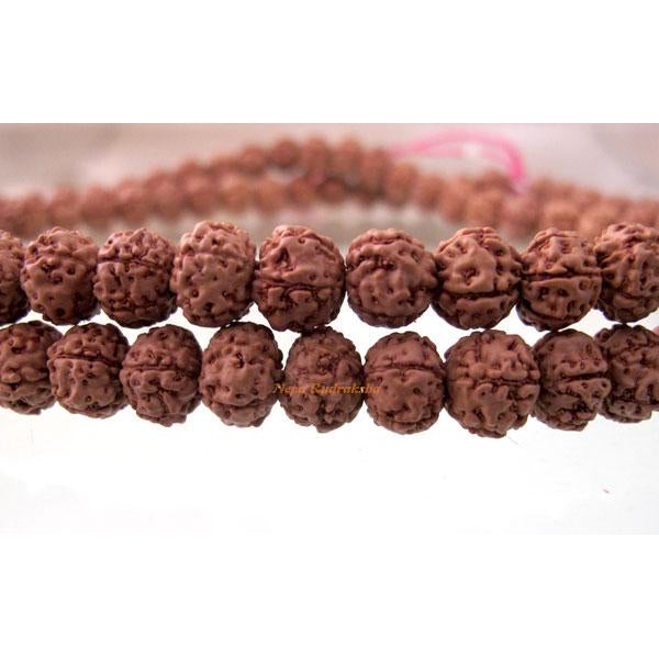 7 Mukhi Chikna Mala