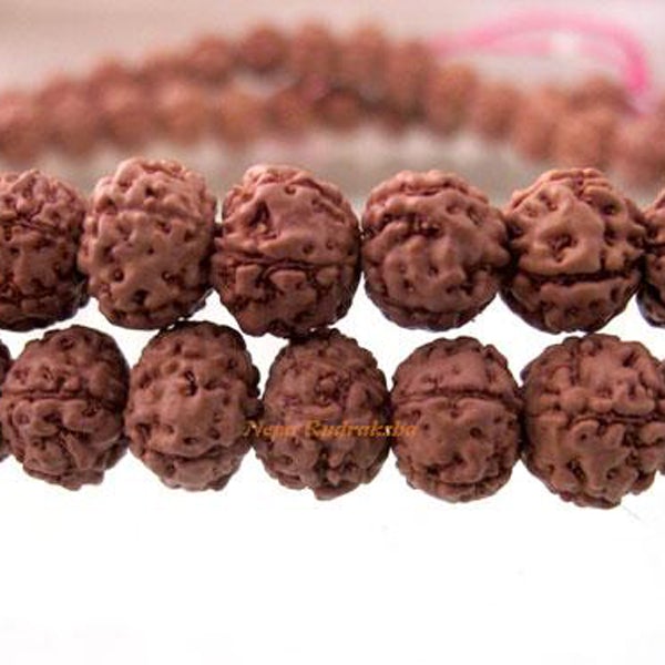 7 Mukhi Chikna Mala
