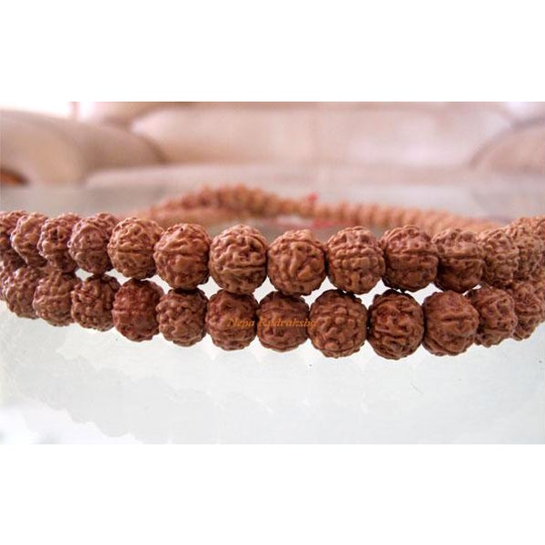 8 Mukhi Chikna Mala