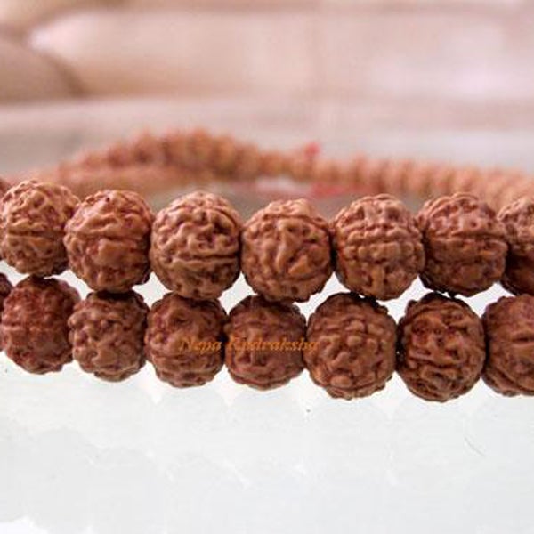 8 Mukhi Chikna Mala