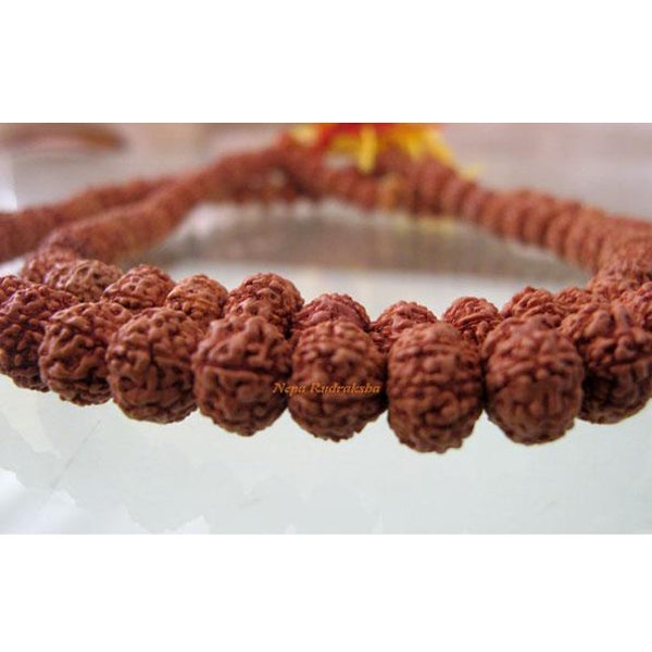 9 Mukhi Chikna Mala