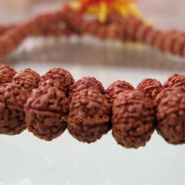 9 Mukhi Chikna Mala