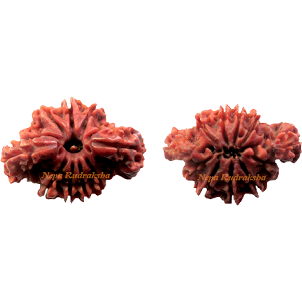 Double Savar