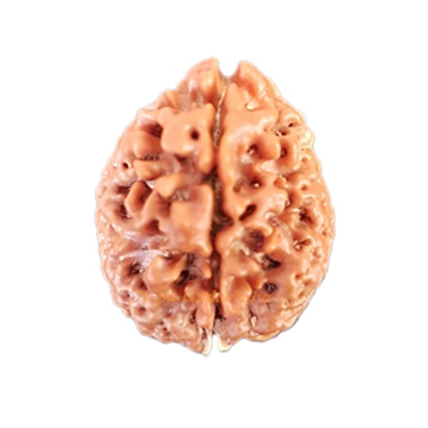 Nepali One Mukhi
